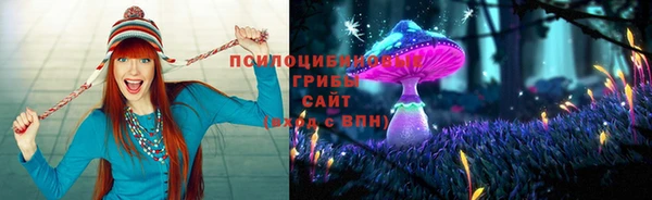 трава Верея
