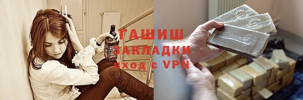 индика Бородино
