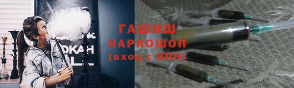 индика Бородино