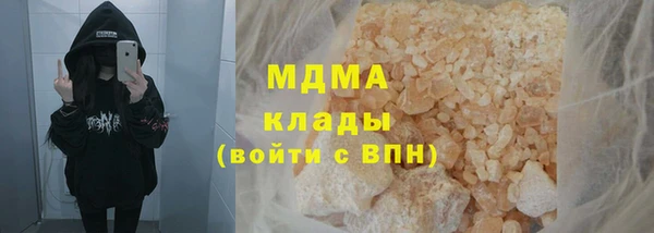 индика Бородино