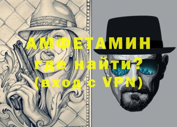 индика Бородино