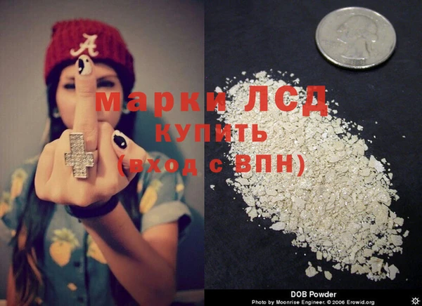 трава Верея