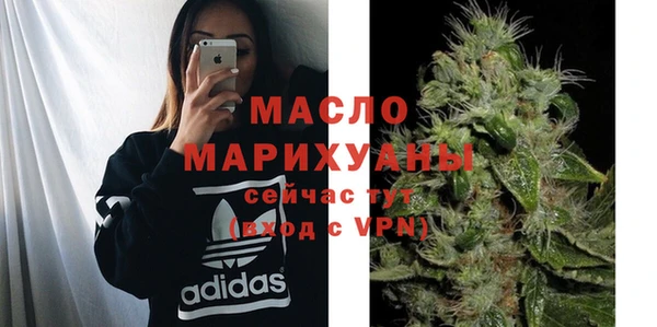 индика Бородино