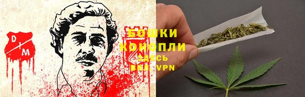 тгк Бронницы