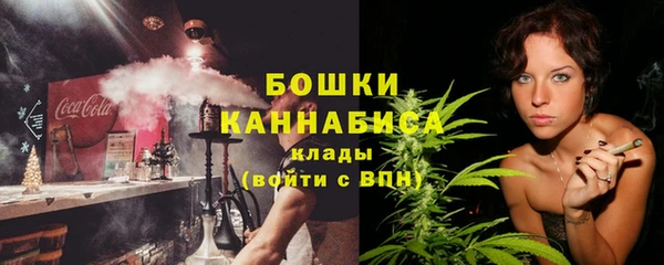 тгк Бронницы