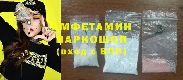 индика Бородино