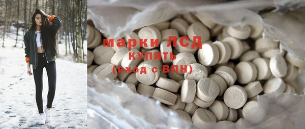 индика Бородино