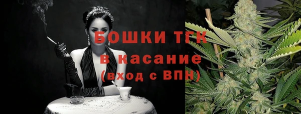 индика Бородино