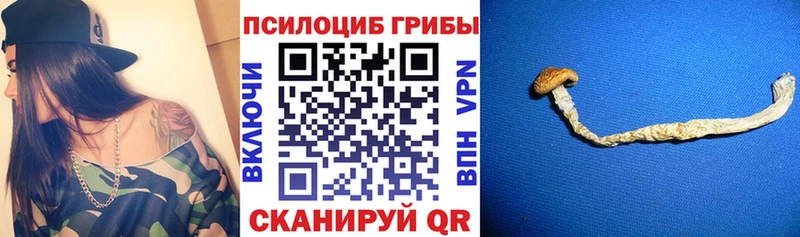 Галлюциногенные грибы мицелий где купить наркоту Ивантеевка