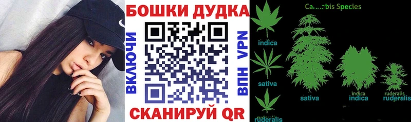 Канабис SATIVA & INDICA  MEGA рабочий сайт  Ивантеевка  закладка 